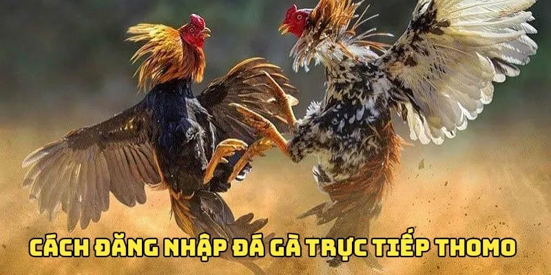 Chi tiết cách đăng nhập đá gà trực tiếp cho người chơi