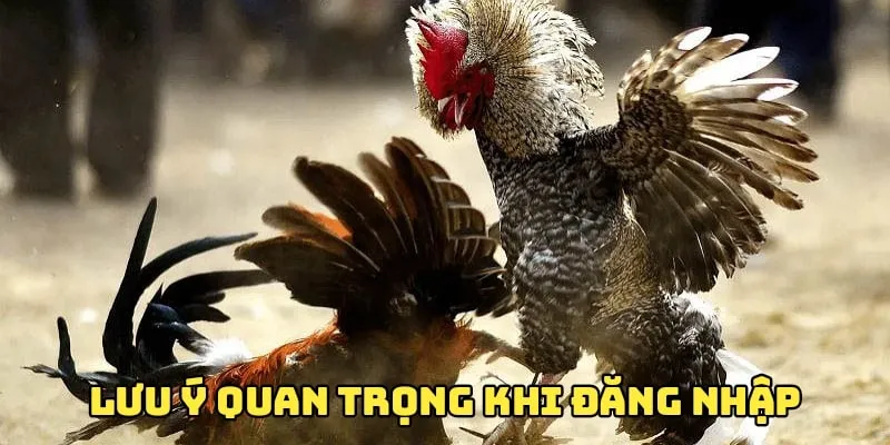 Chú ý những vấn đề sau để không gặp lỗi đăng nhập