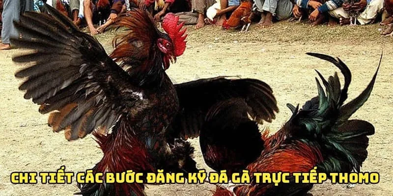 Gợi ý các bước đăng ký đá gà trực tiếp nhanh chóng