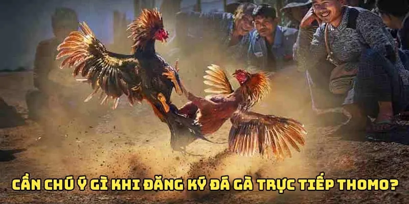 Một số lưu ý đáng quan tâm trong đá gà trực tiếp 