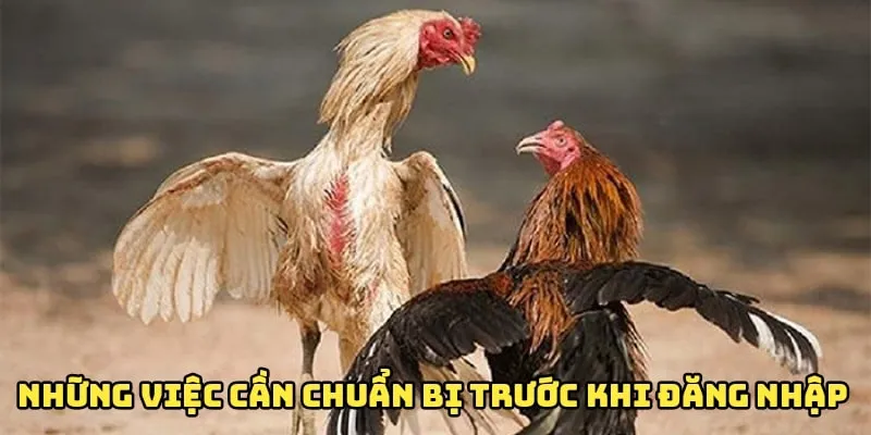 Một số việc cần chuẩn bị trước khi bạn đăng nhập