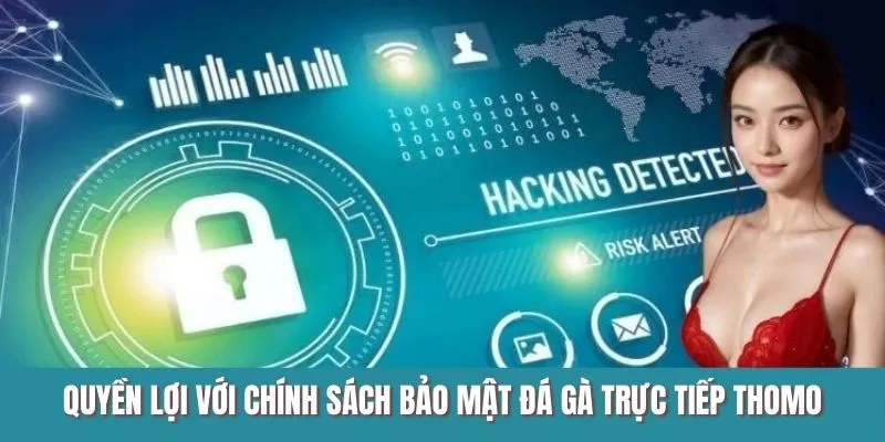 Quyền lợi của bạn với chính sách bảo mật đá gà trực tiếp Thomo