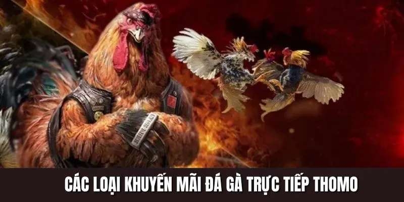 Tổng hợp các khuyến mãi đá gà trực tiếp thomo giá trị nhất