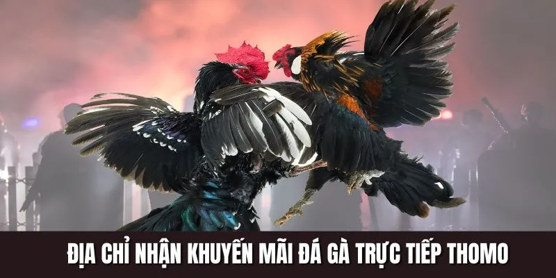 Thông tin về khuyến mãi 