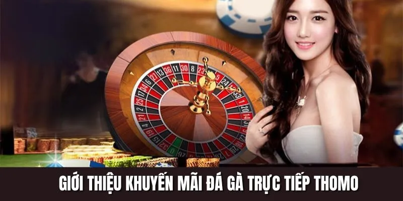 Tổng quan chương trình khuyến mãi đá gà trực tiếp thomo