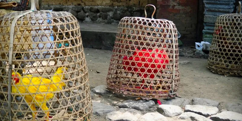 Kinh nghiệm hỗ trợ mọi thành viên gia tăng thêm tỷ lệ thắng lớn.