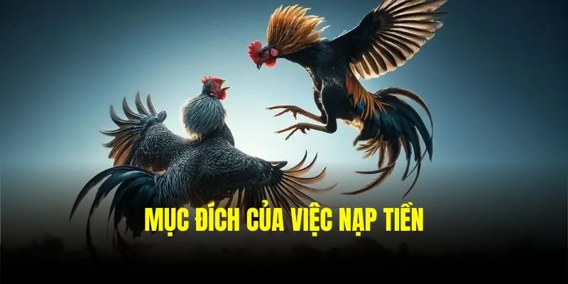 Mục đích của việc nạp tiền