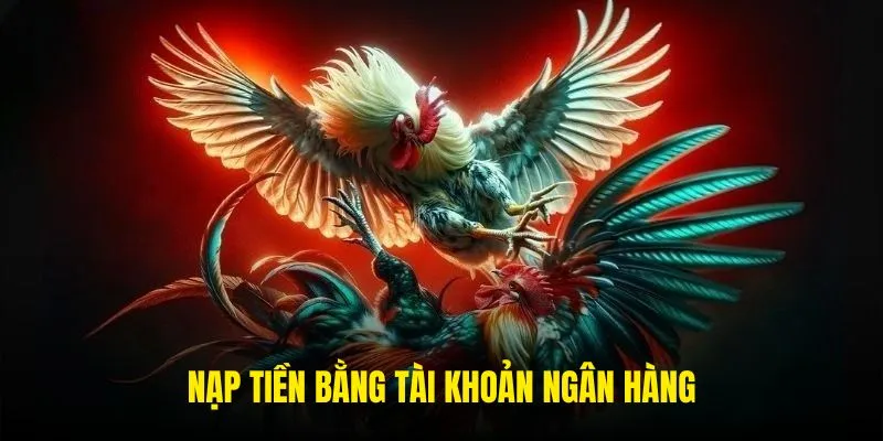  Nạp tiền qua tài khoản ngân hàng